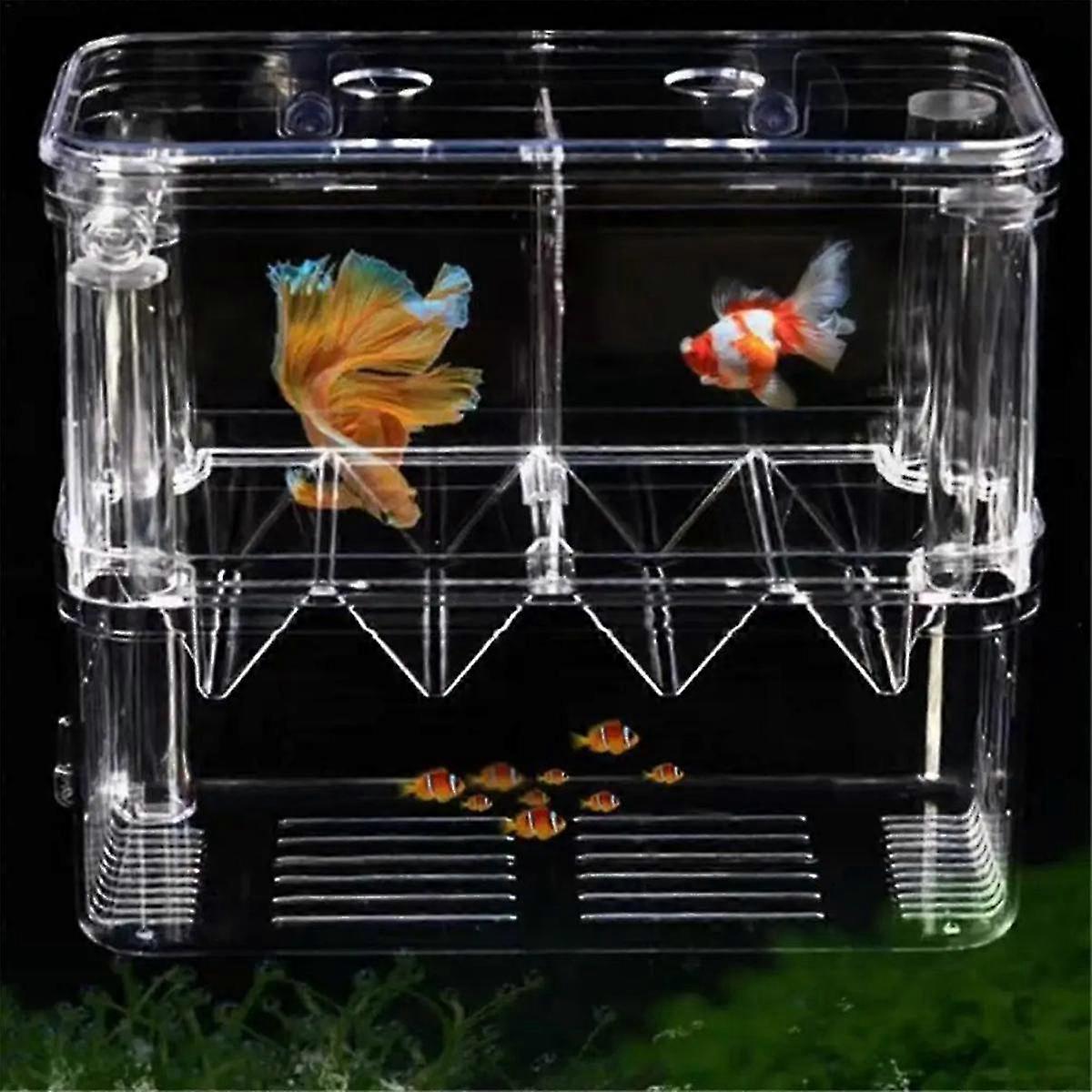 Fish Breeding Box Double-layer Acrylic Breeding Tank Isolation Box Transparent Detachable Hatching Box For Guppy Shrimp