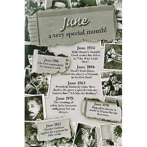 JUNE Miko Month Series Chronicle Card High Quality and Stylish Design Card