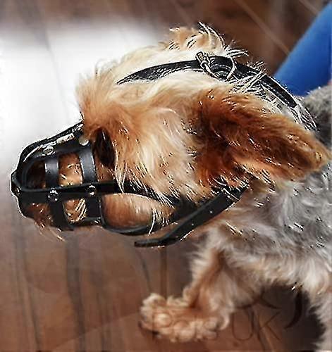 לוע כלב עור בהיר עבור צ'יוואווה, יורקשייר טרייר, מיני קנקן וכלבים קטנים אחרים (עור טבעי, 00)