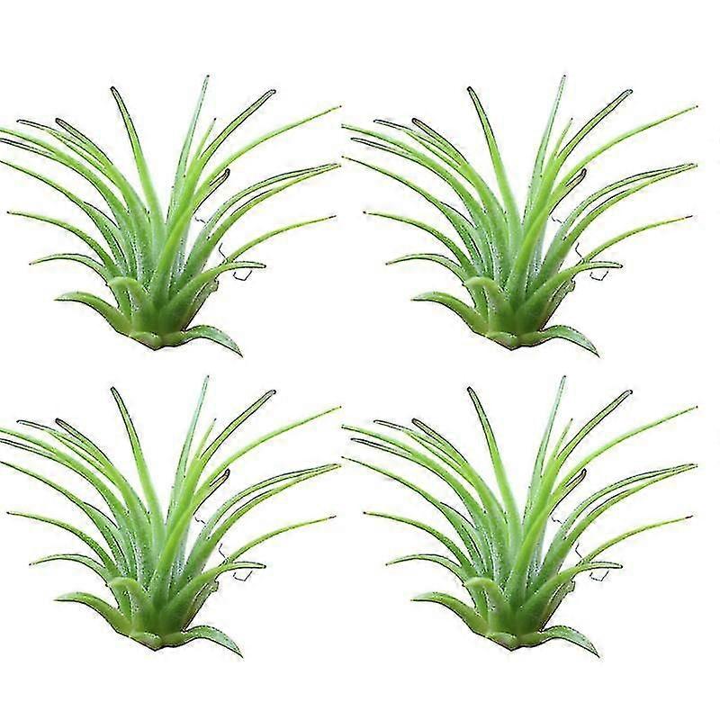 4st Luft Växt Prydnadsväxter Ingen jord behövs Måttlig vattning Lättskött Inomhus Vas Vattenplantering Tillandsia Växtdekoration Heminredning