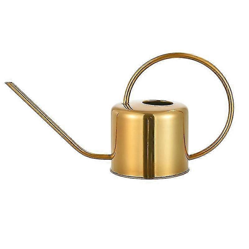 Watering Kettle for Succulents and Bonsai, Precise Watering