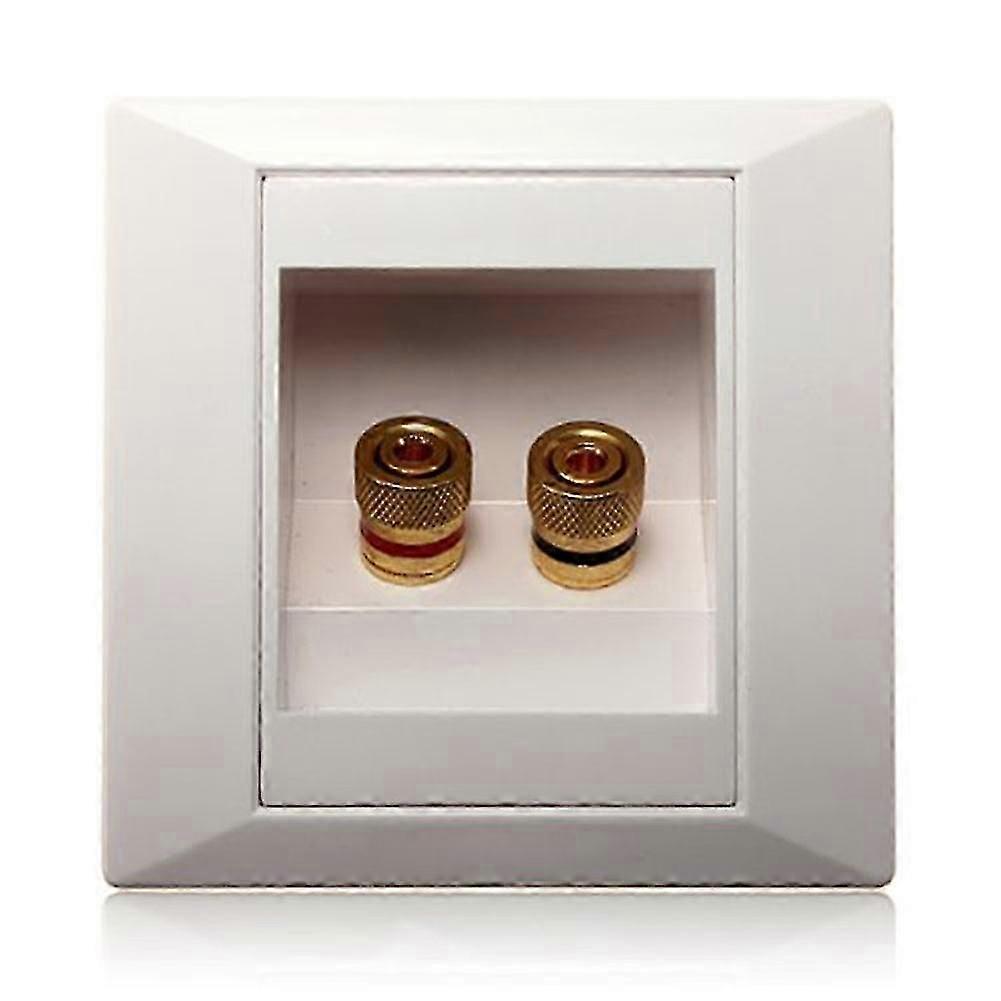 مقبس حائط منفذ توصيل مع 2 مقبس مكبر صوت أبيض-haoyi