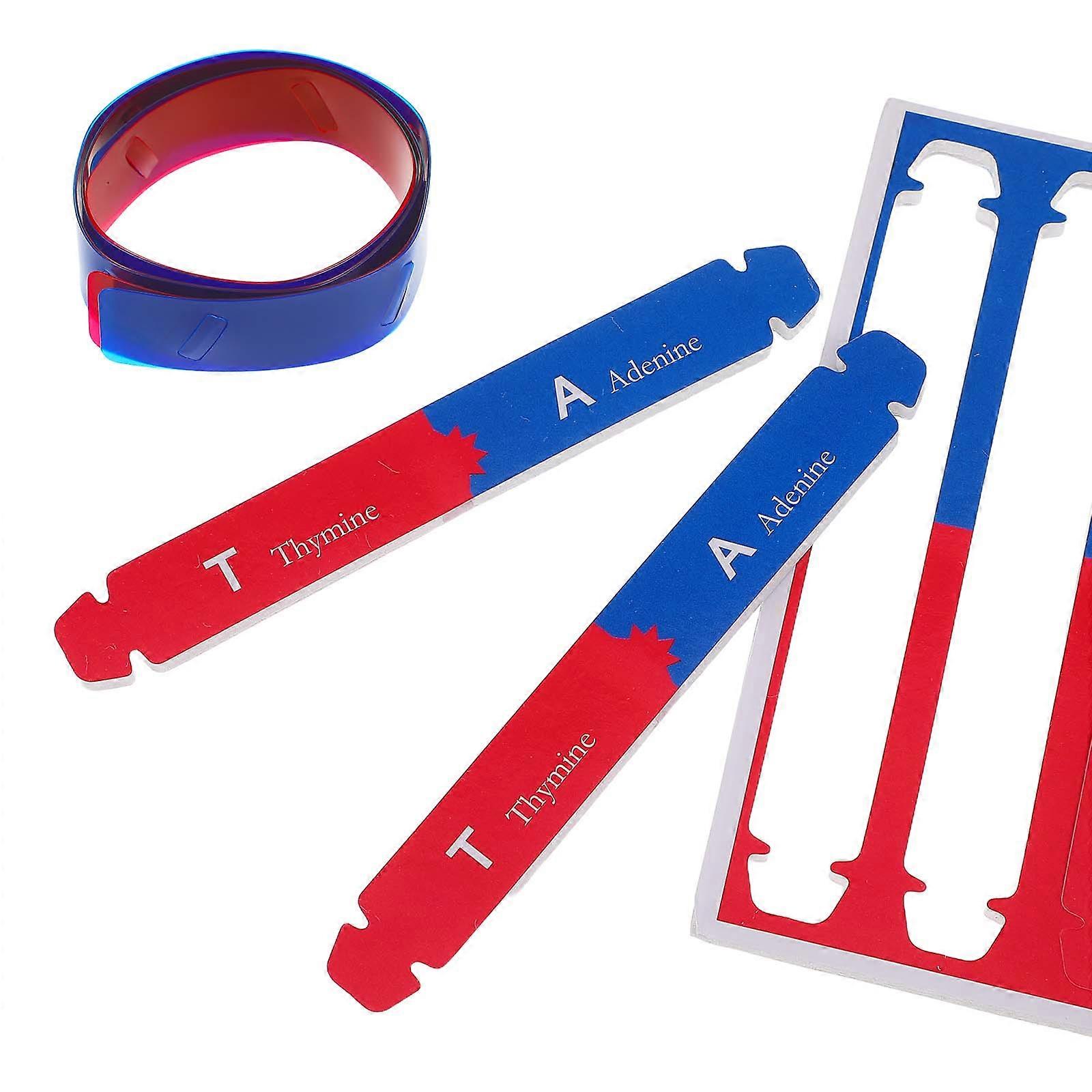 Science Dna Double Helix Beaded Model Kit Human Genes Learning Aid For Education Scientific Learning 1Pack