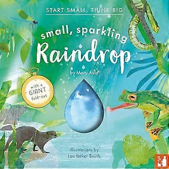 Small Sparkling Raindrop A fact filled picture book about the water cycle with a large fold out (ages 4 8)