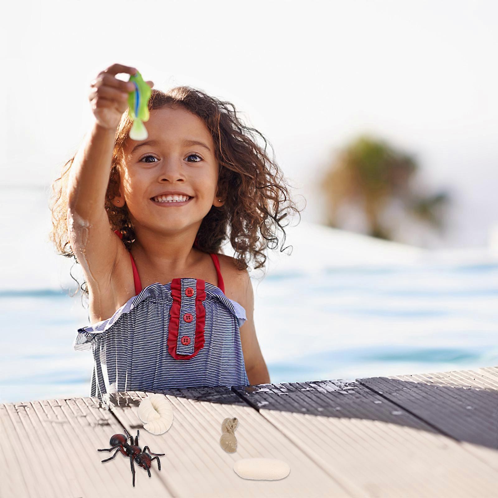 Simulation Cognitive Model Toy Set for Kids 1Set Assorted Color