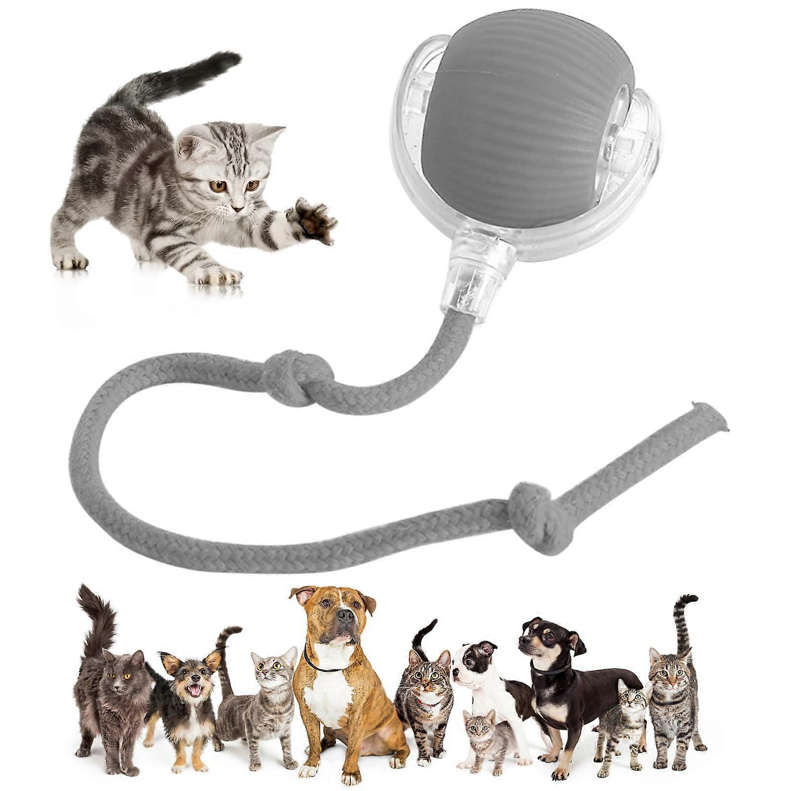 Interactive Dog Toy Automatic Rolling Ball with Smart Obstacle Avoidance for Dogs and Cats, Gray