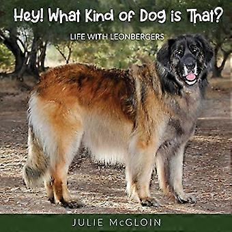 Hallo! Wat voor soort hond is dat?: Leven met Leonbergers