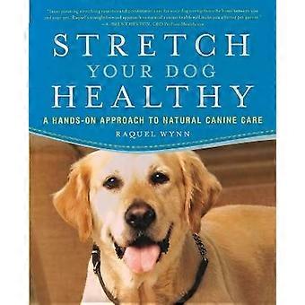 Estira a tu perro para que se mantenga sano.