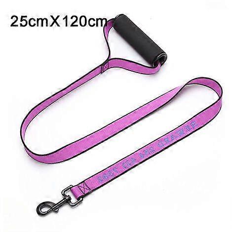 Bungee Leash with Handle for Training Walks