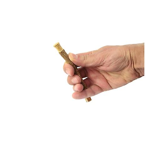 Siwak, 100% natural toothbrush 1 unit