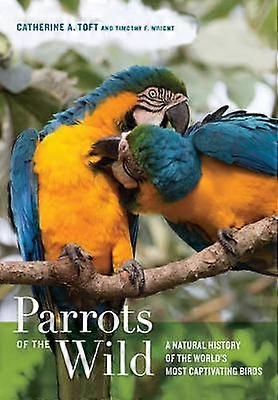 Parrots of the Wild