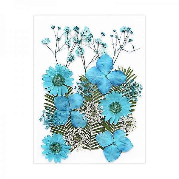 3xTørkede Pressede Blomster Tørre Blader Sett For Scrapbooking Konvolutter Bokmerke Blå