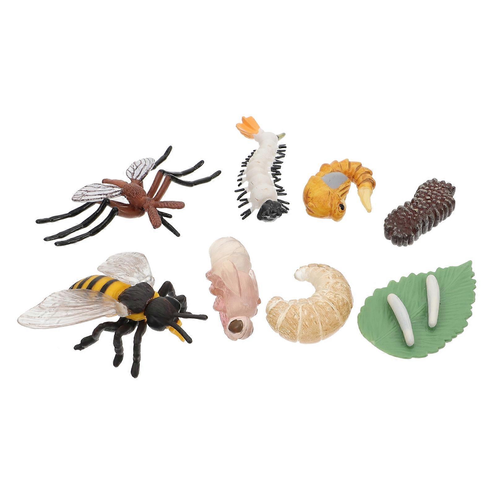 Simulation Animal Model Ornaments Imitation Insect Life Cycle Toys Designed For Classroom Teaching 8X5Cm Assorted Stimulation 2 Sets