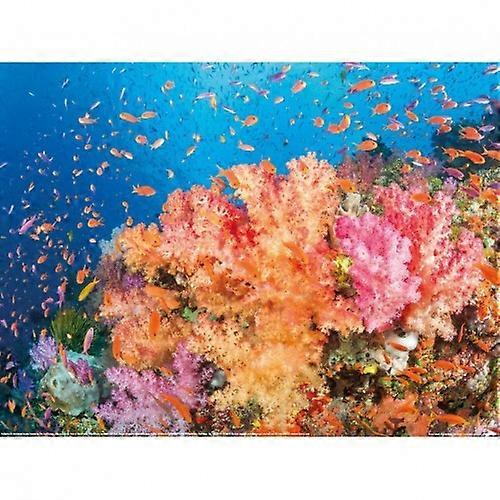 David Fleetham Coral Reef - Fiji Print