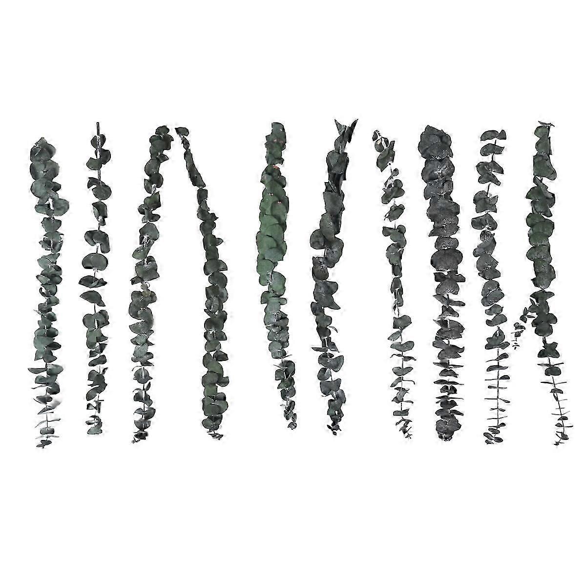 10Pack Natural Dried Eucalyptus Bundle,Preserved Fresh Eucalyptus