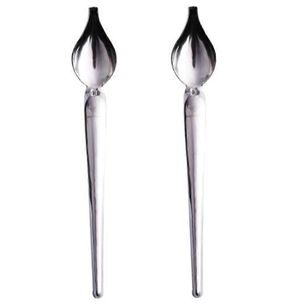 2 Pcs Stainless Steel Culinary Precision Drawing Deco Spoon Set