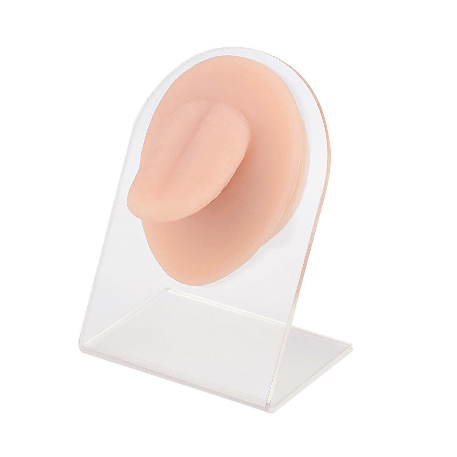 Tongue Piercing Practice Model with Realistic Silicone Texture and Stable Acrylic Stand for Training
