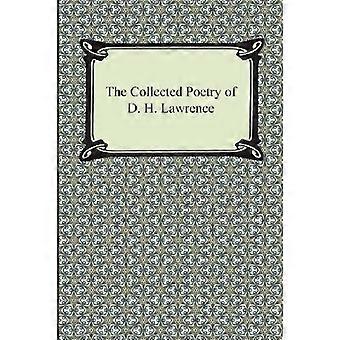 Die gesammelte Lyrik von D. H. Lawrence