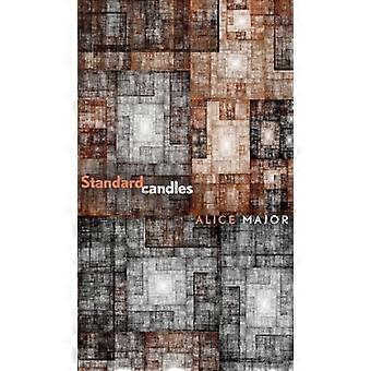 Standardljus (Robert Kroetsch serien)