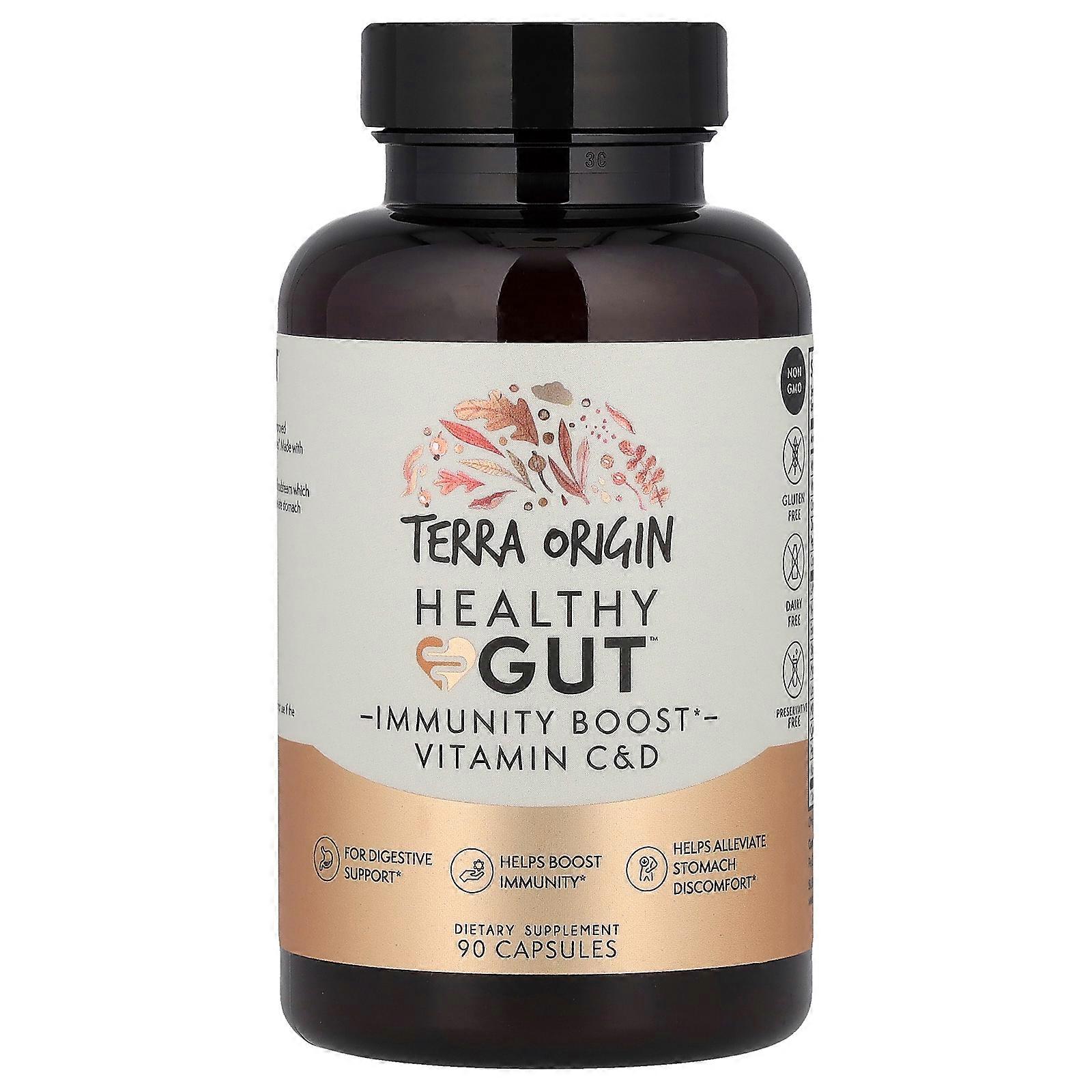 Terra Origin, Healthy Gut™ Capsules, 90 Capsules