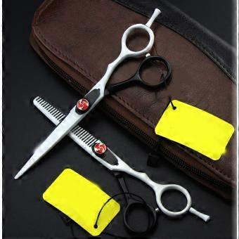 Professional Hair Cutting Scissors and Barber Thinning Shears, Sharp Stainless Blades for Salon and Home Use