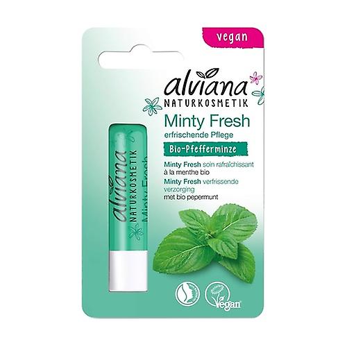 Minty Fresh Lip Care 4,5 g