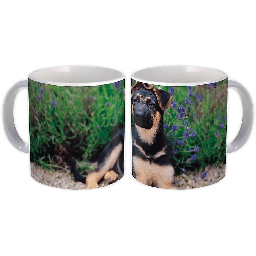 Gift Mug: German Shepherd Dog