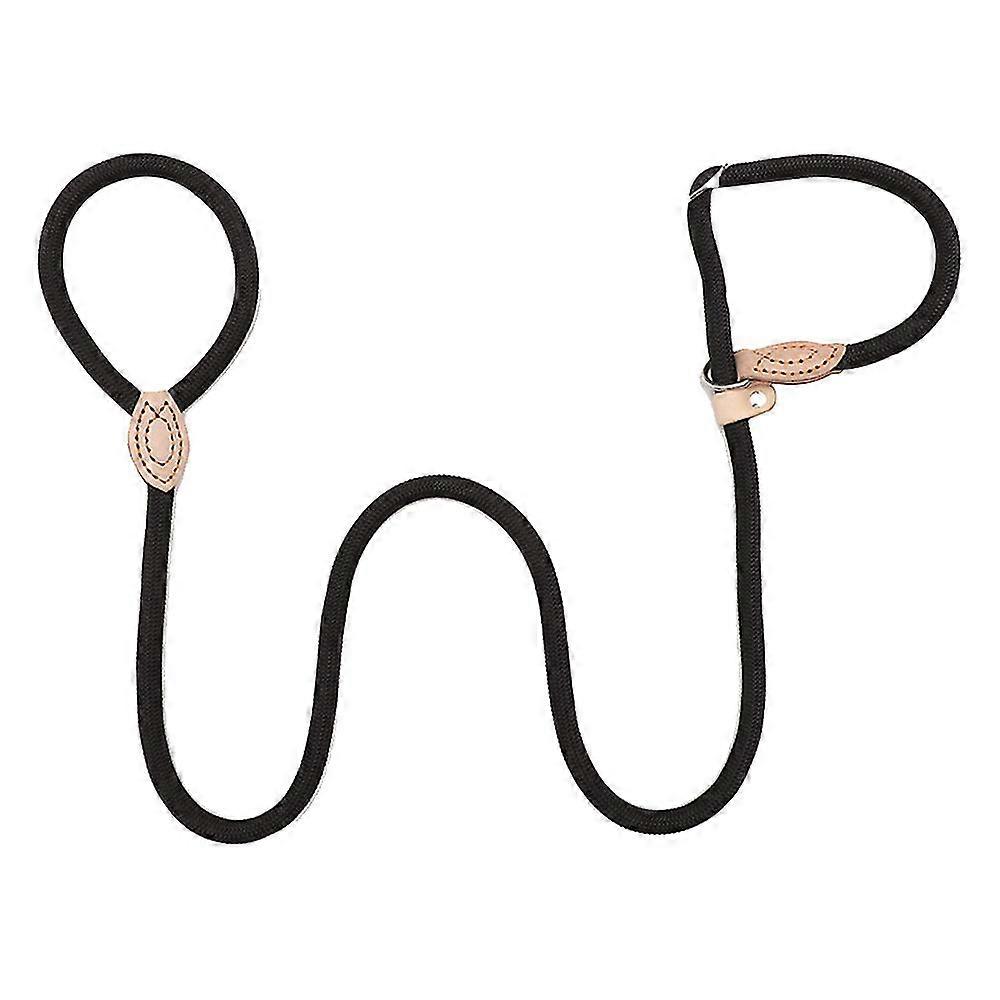 Training Dog Carrier Leash