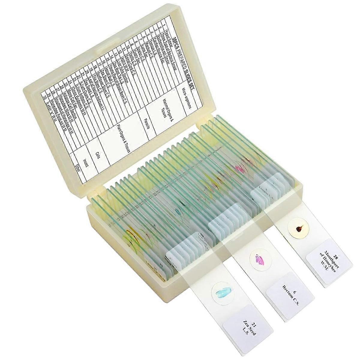 Children'S Microscope Slides, Glass Prep Slides for Microscope Accessories Suitable for All Types of Microscopes