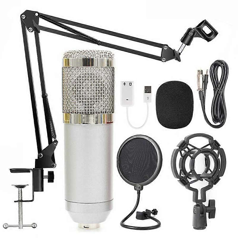 BM-800 Professional Capacitive Microphone Vocal Recording Wired Mic for Computer
