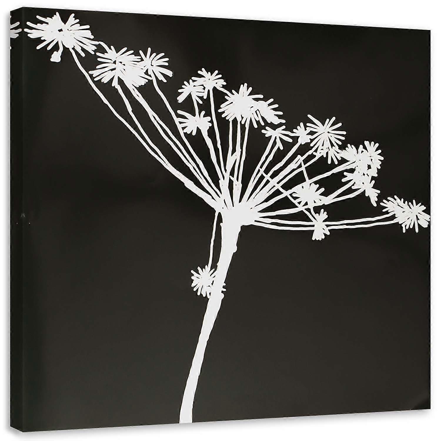 Impression sur toile, Cyperus shadow blanc - 60x60