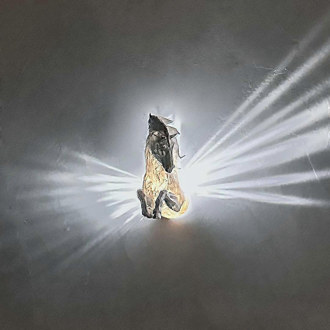 Pegasus lamp wall mount LED light with adapter SZRH AC-