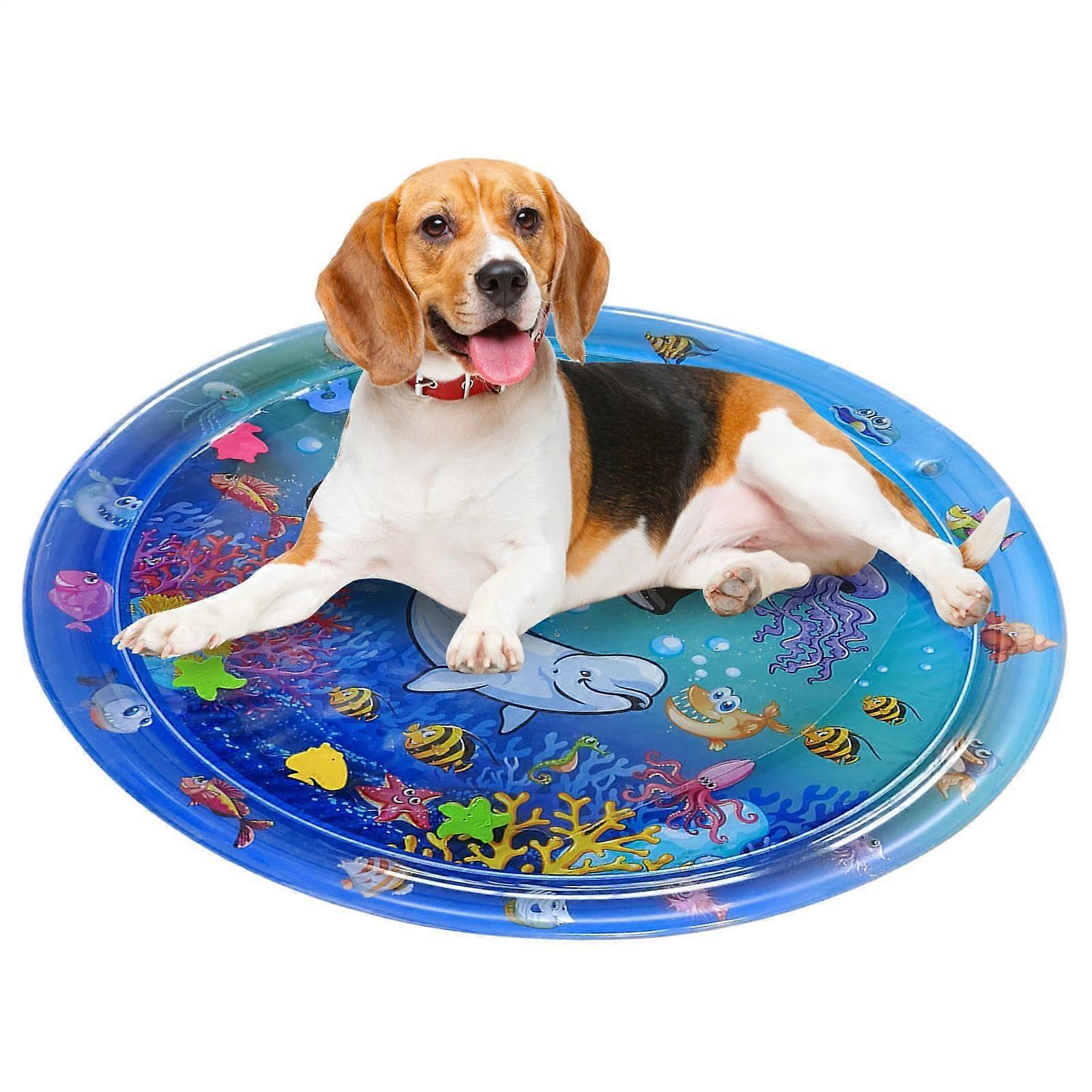 Water cushion for cats, water mat for pets and babies to play with Fun for sleeping, cooling toy, size 100 cm