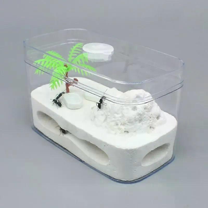 Ants ant farm gypsum habitat in transparent plastic box to better observe live ants action nature educational toy O20 21