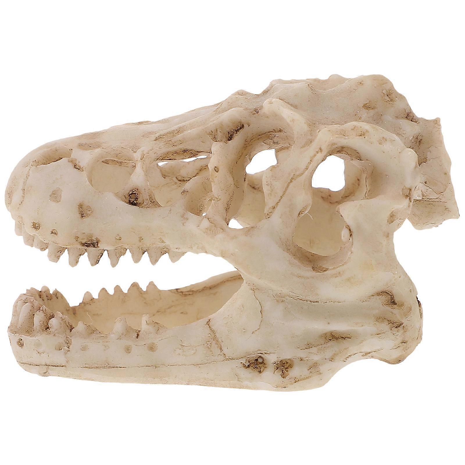 Resin Dinosaur Skull Dinosaur Skull Model for Decoration 5Pcs Pack