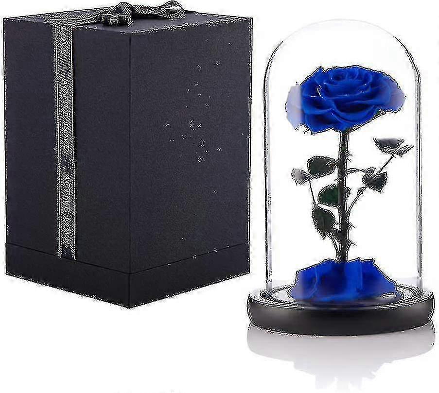 المحفوظة روز الحقيقي الأبدية روز في قبة زجاجية هدية لعيد الشكر لها عيد الحب عيد الحب عيد ميلاد عيد الأم (الأحمر) bebetter