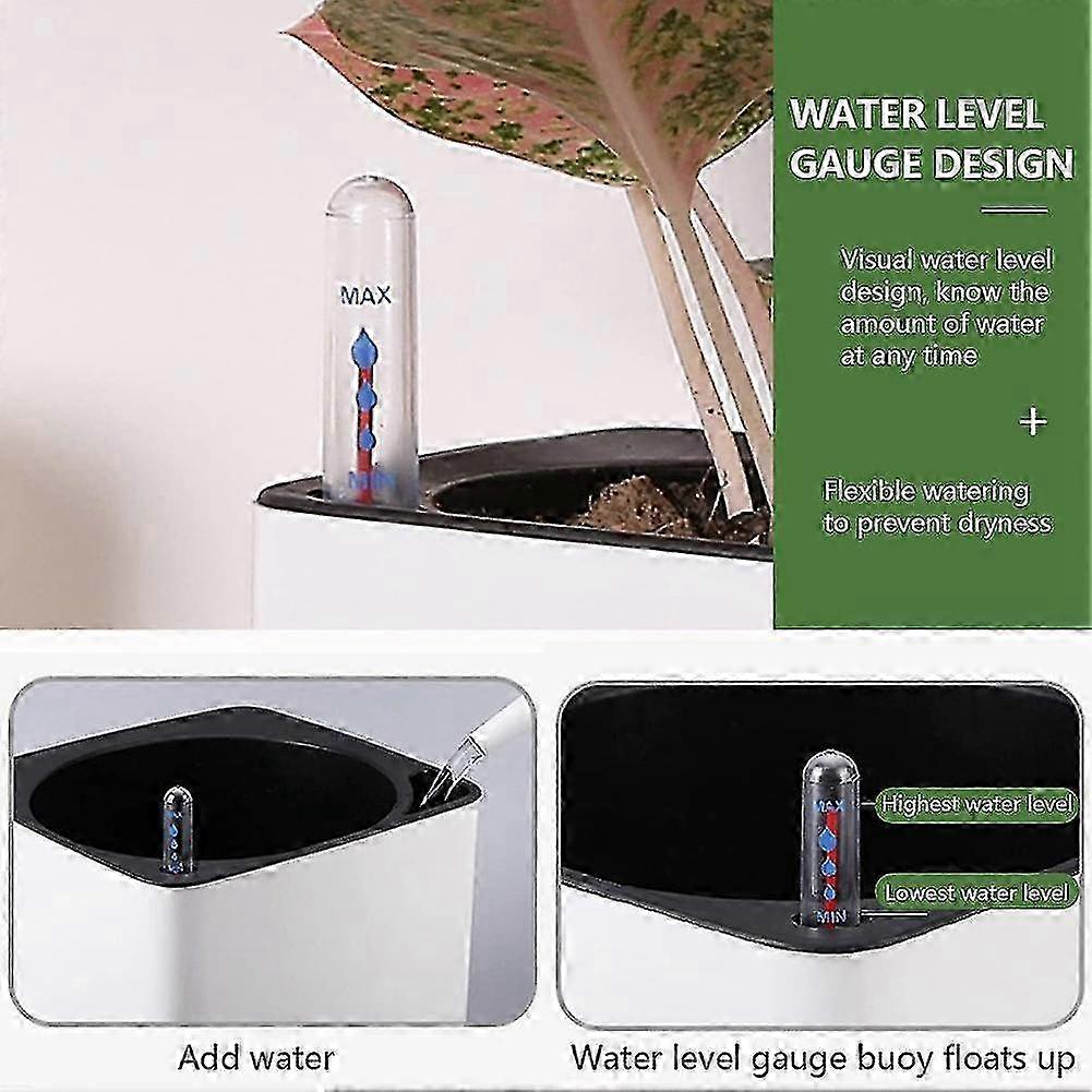 10-Pack Soil Moisture Meter for Plants, 20cm Water Level Indicator