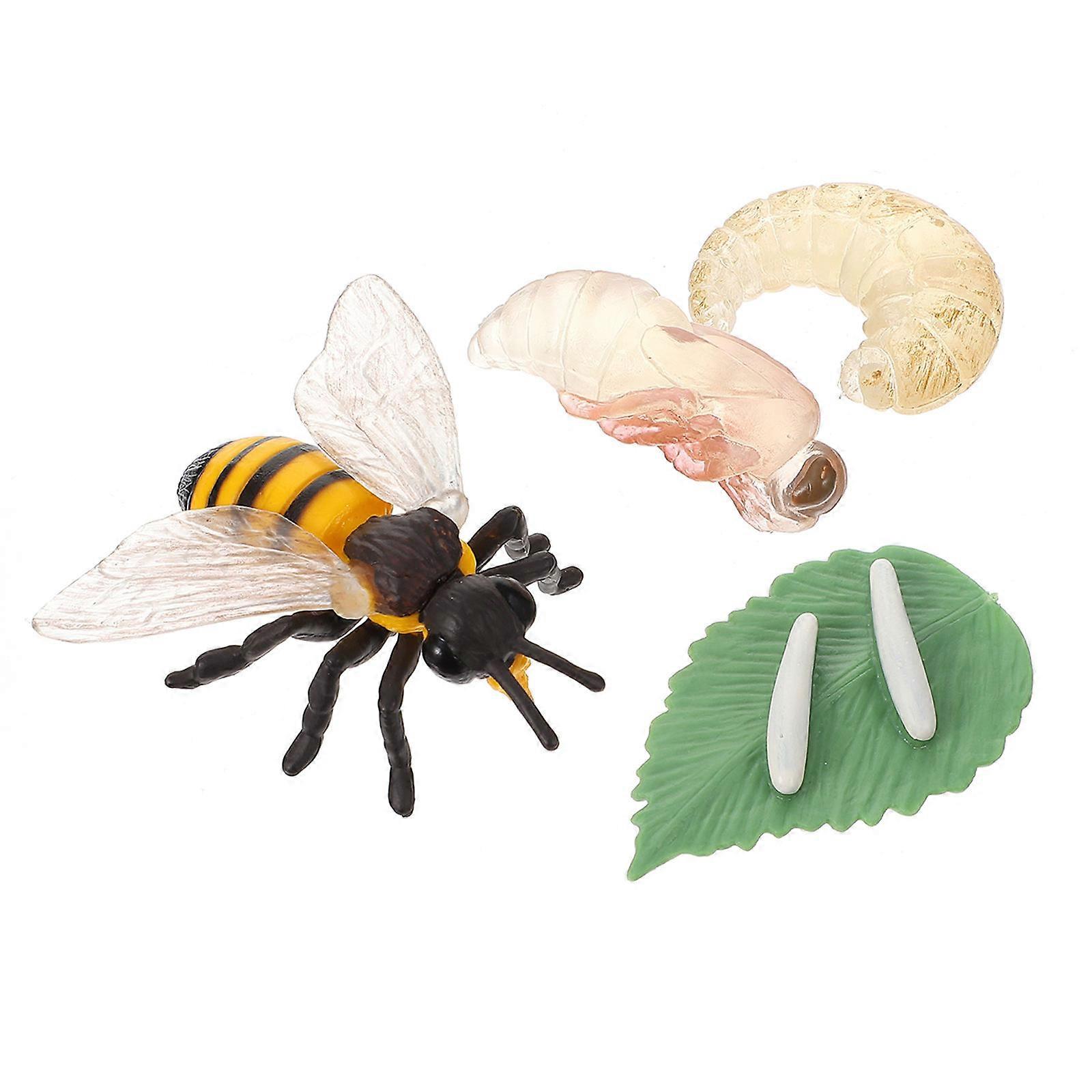 Miniature Bee Growth Model Educational Simulation for Display 1Set