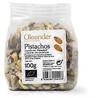 raw pistachio kernels 100 g