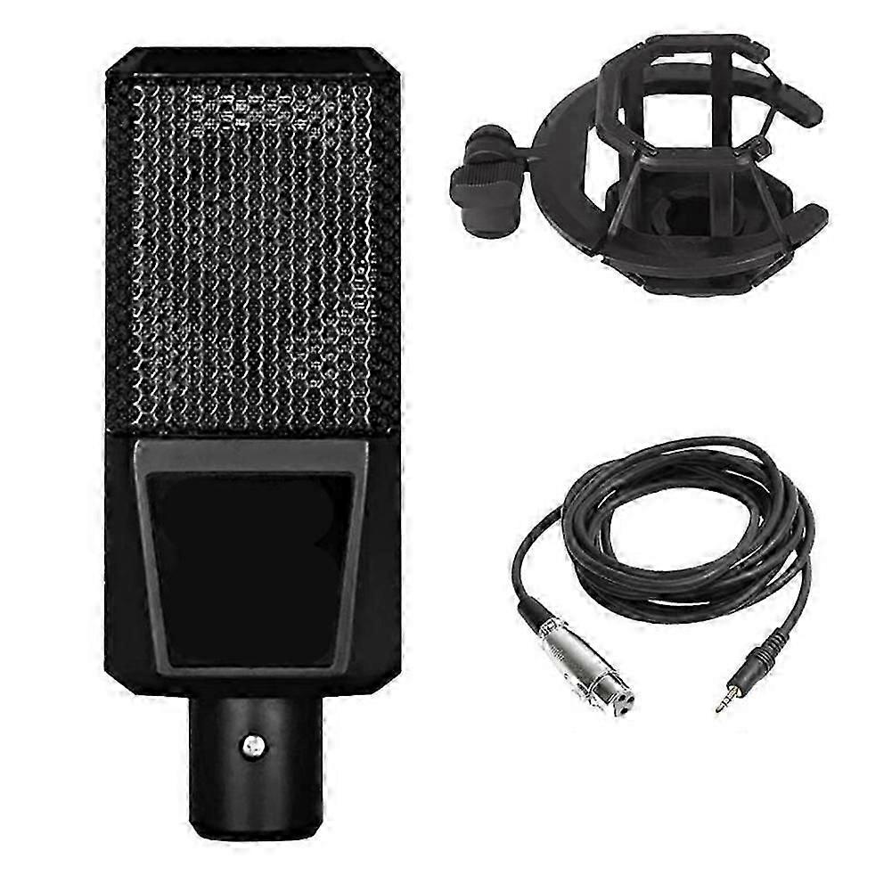 D241 Professional Studio Condenser Microphone Bundle with Mic Holder for Record Broadcast