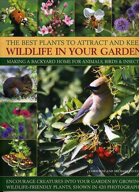 Best Plants To Attract And Keep Wildlife In The Garden by Christine Lavelle Paperback