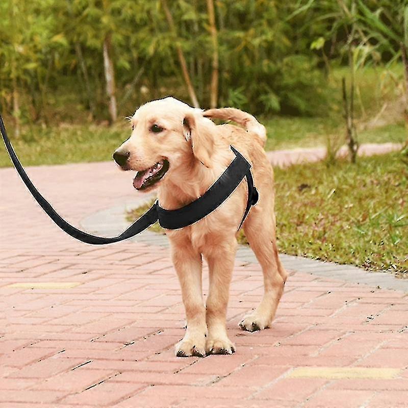 comfortable o-ring chest harness lead leash size nylon adjustable