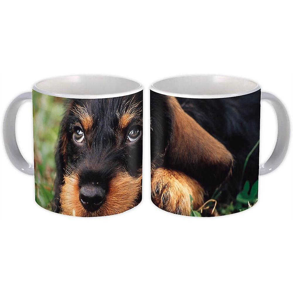 Taza de regalo: Perro Rottweiler