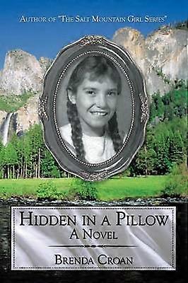 Hidden in a Pillow