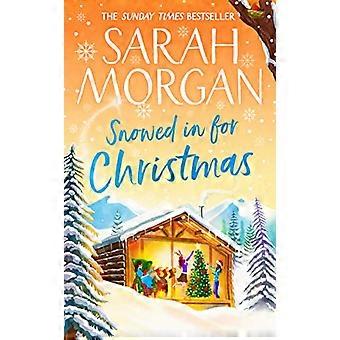 Snowed In For Christmas