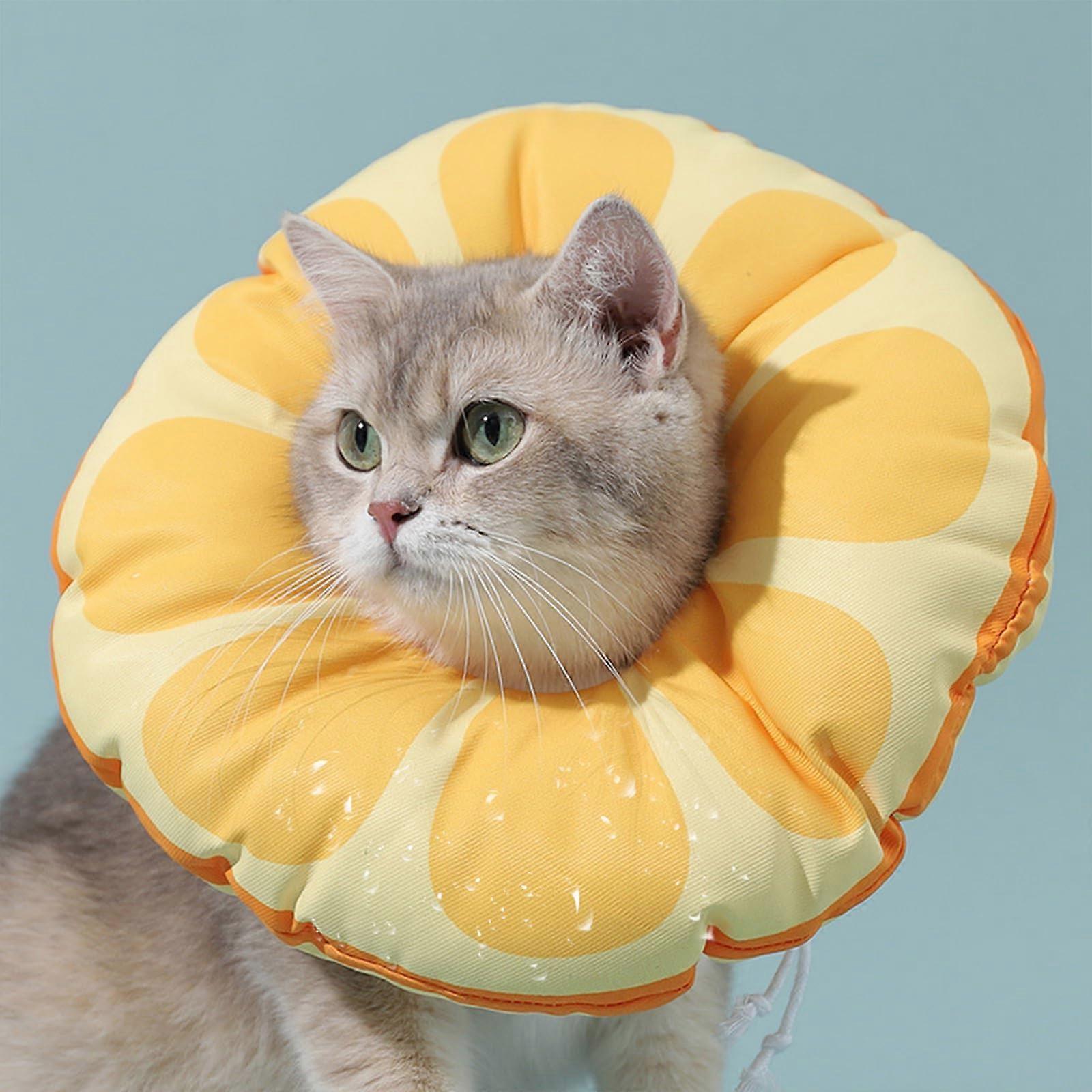 Cat Recovery Soft Collar, Adjustable Elizabethan Collar for Cats, Medium Size, Water-Resistant, Wound Healing Support