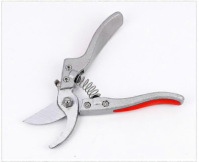 Stainless Steel Secateurs For Precise Cutting