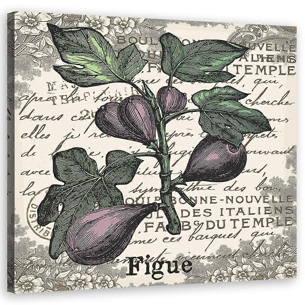 Lienzo, Higos vintage - 30x30