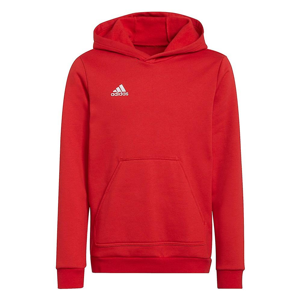 Adidas Entrada 22 H57566 universal all year girl