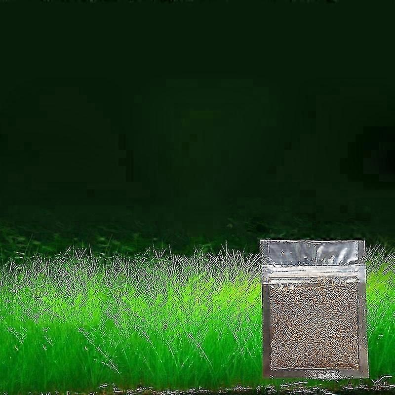 新しい水族館の装飾植物の種は水槽の風景の装飾水草の種を育てるのが簡単